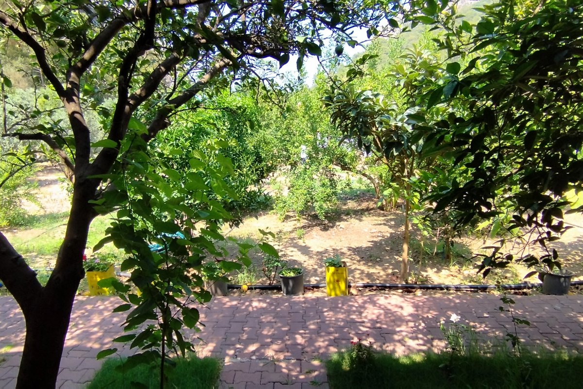 Varuna Pension Olympos