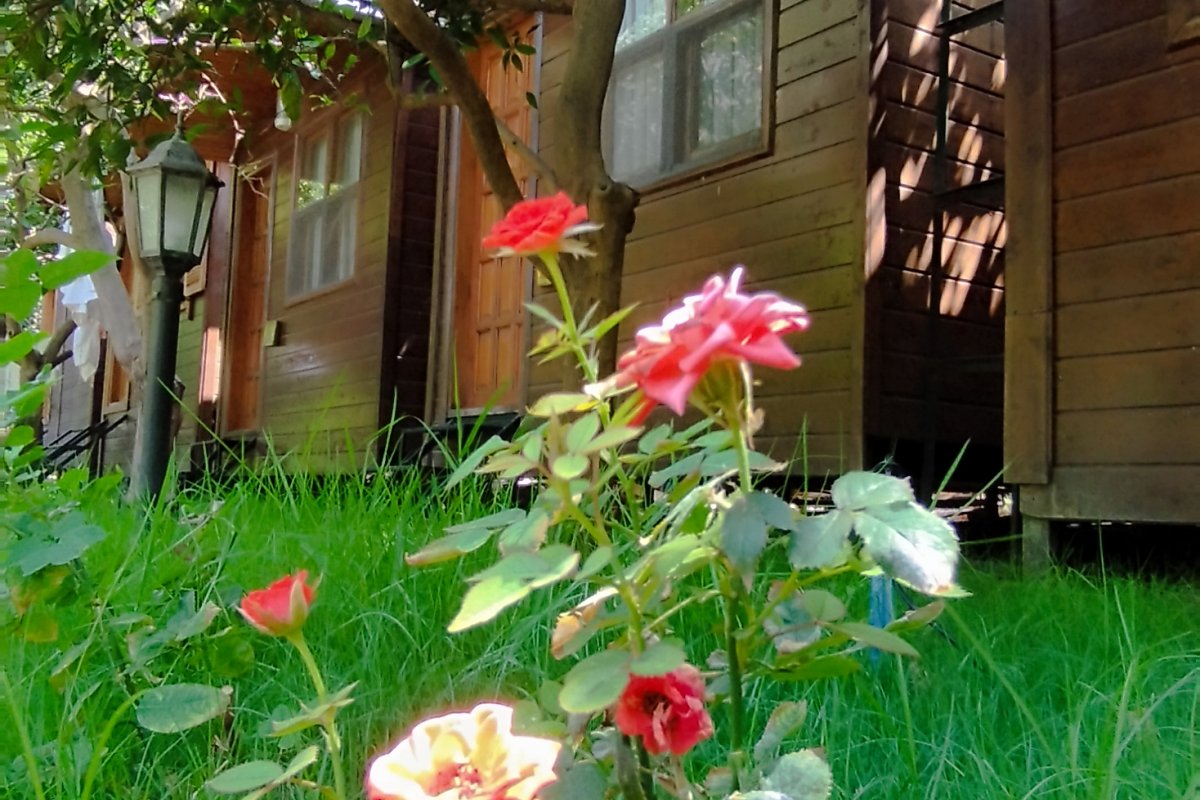 Varuna Pension Olympos